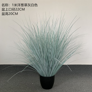 洋葱草盆栽仿真蒲苇草绿植家居仿真芦苇草盆景摆件仿真狗尾草盆栽