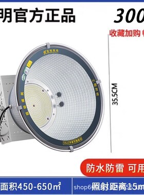 上海亚明led塔吊灯1000w2000瓦建筑工地户外防水照明探照投光大灯