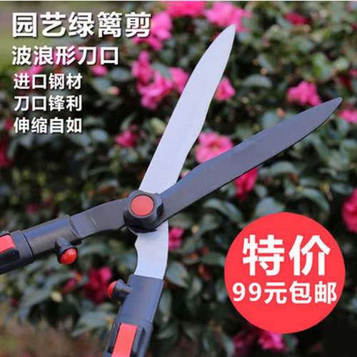 园林剪进口园艺剪刀绿篱剪修枝果树园艺工具篱笆剪伸缩大花剪