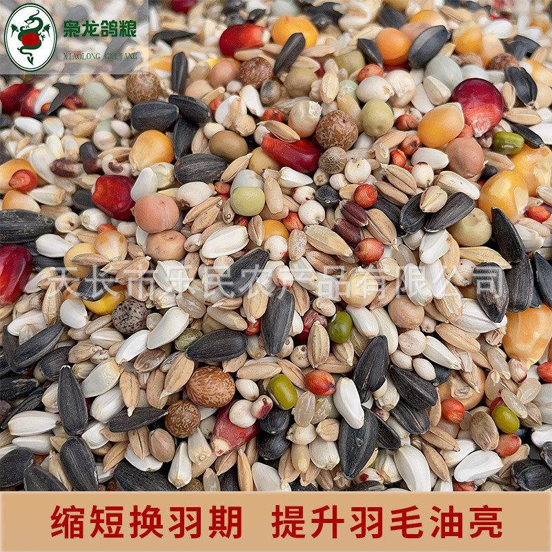 枭龙鸽粮能量换羽1号信鸽赛鸽斤饲料鸽子食鸟食观赏鸽50营养
