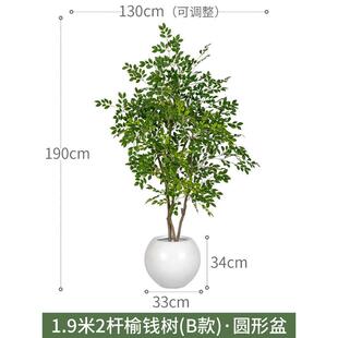 仿真榆钱树仿生假树绿植植物落地金钱榕室内客厅大型造景装饰摆件