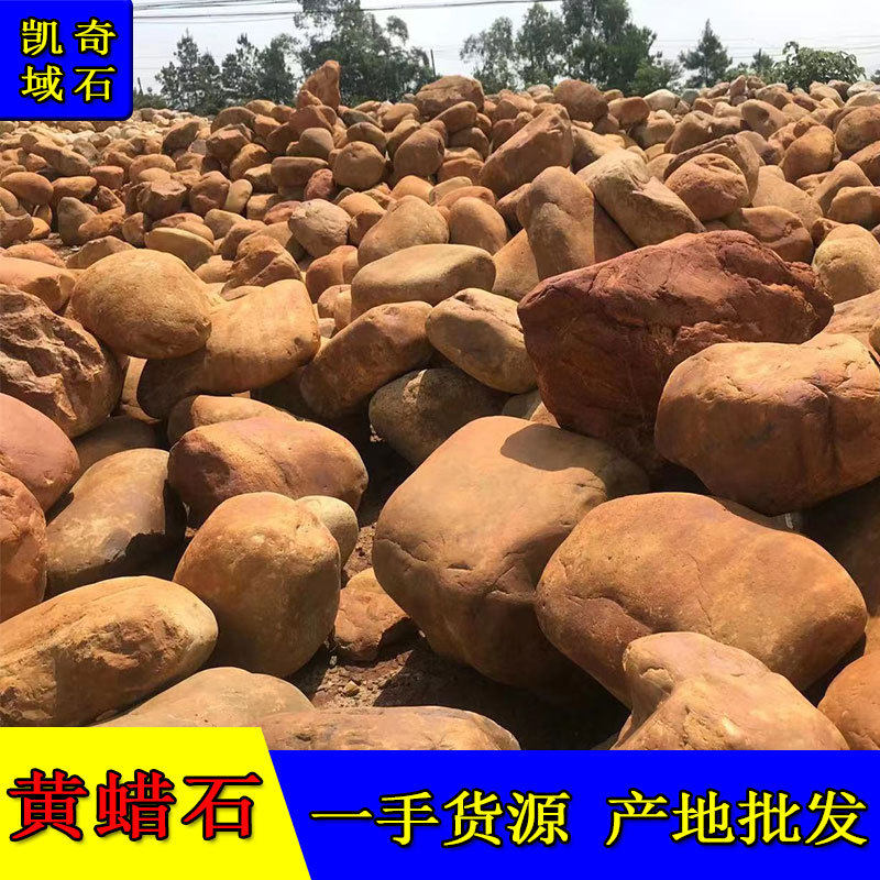天然原石鱼池假山造景石黄色石头驳岸石草坪点缀园林景观石黄蜡石
