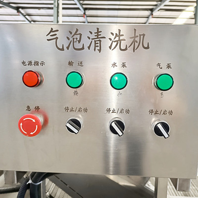 樱桃草莓清洗机设备全自动蓝莓枇杷清洗机器杨梅果桃子清洗机
