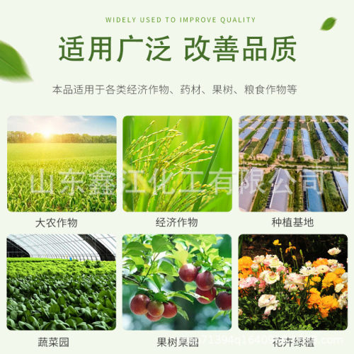 十二元素中量元素农业微量元素叶面肥水溶肥种植果树蔬菜十二元素