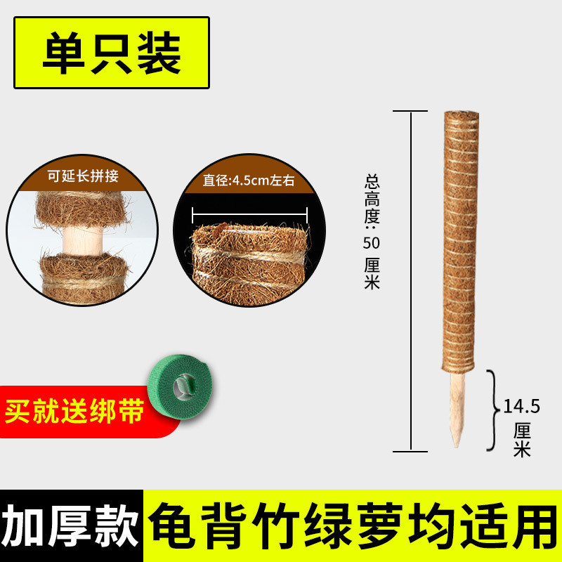 龟背竹丝棒绿箩固定架架支撑杆棕榈植物爬藤花椰棕绿萝柱攀爬柱椰