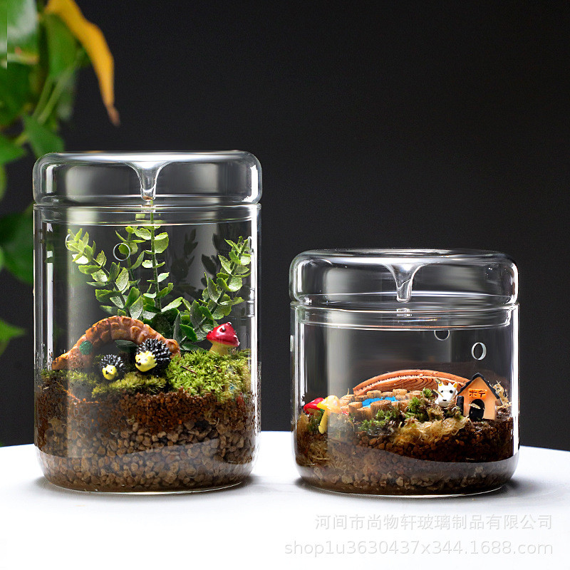 收藏手作桌面玻璃微景观露集杯植物观赏瓶透明采光瓶鱼缸生态瓶