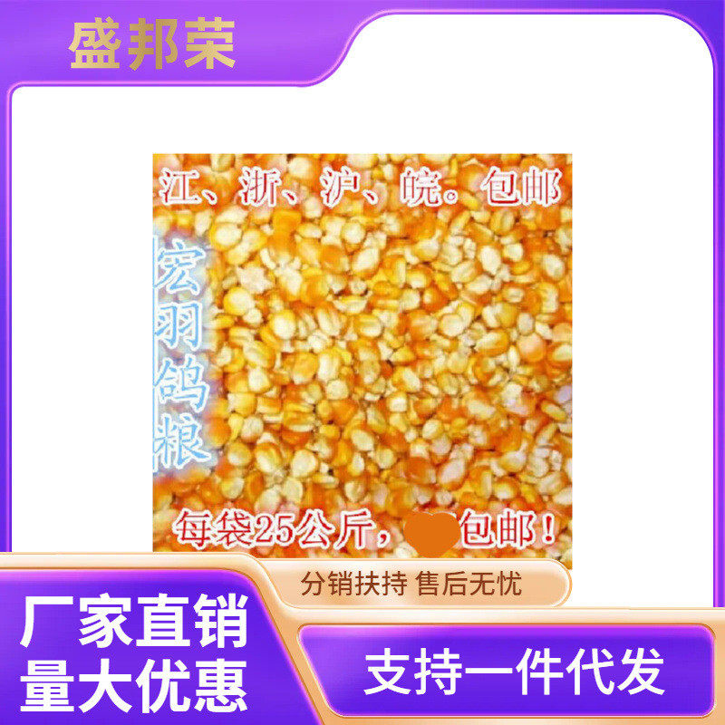 鸽子玉米鸽/玉米鸽粮/饲料专用玉米小金黄/50斤包邮