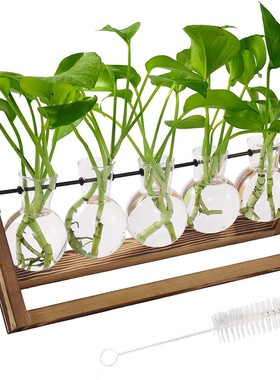 双层水滴木架花瓶家居水培植物插花器水养绿萝花盆桌面办公桌摆件