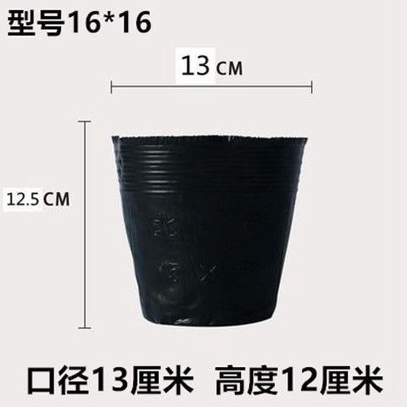 营养杯育苗杯一次性黑色营养袋育苗袋大号播种植塑料育苗盆营养钵