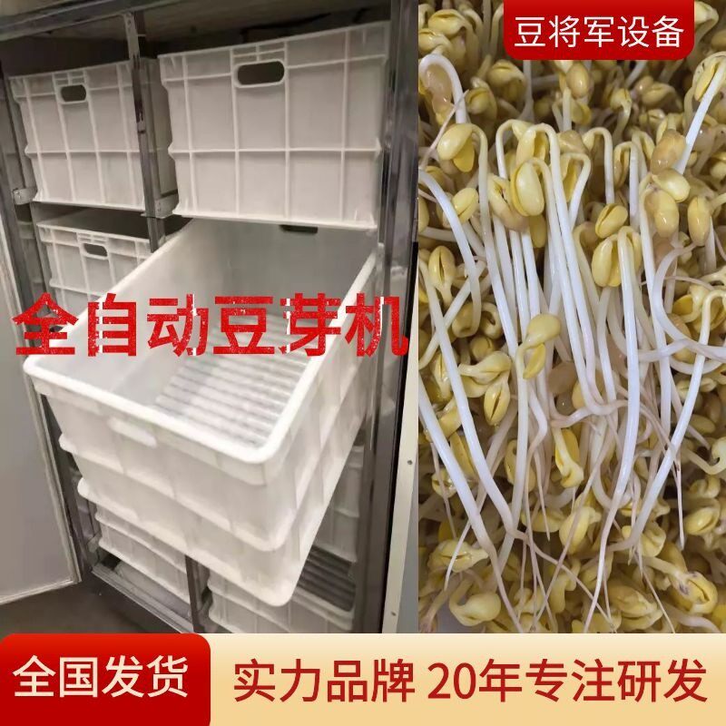 大型豆芽机商用全自动大容量机菜芽日产60斤发黄绿豆芽机生豆芽机