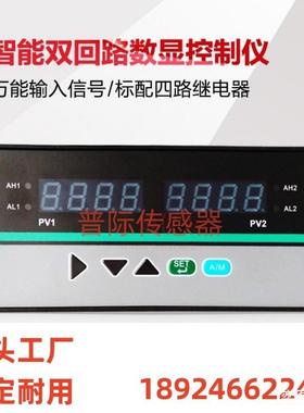 HD-S5300智能数显调节器数字显示报警器
