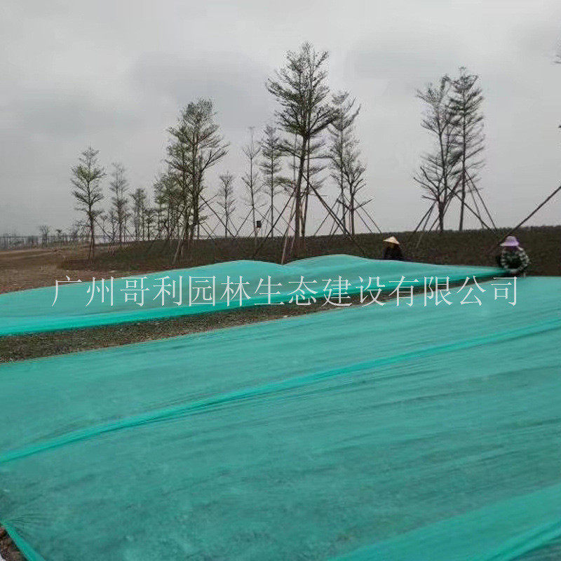 批发草坪农用边坡护坡土防尘pp防草布盖绿色绿化无纺布绿化防寒布