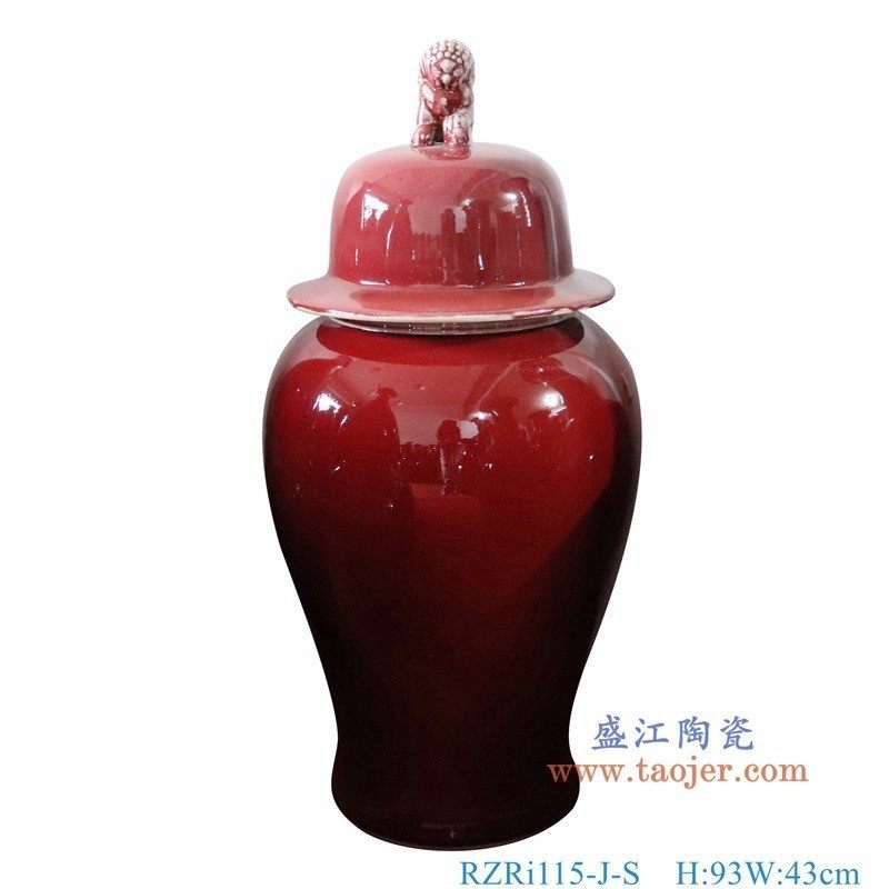 景德镇陶瓷器郎红鱼尾瓶天球家居装饰落地大花瓶客厅摆件瓶工艺品,家居饰品,装饰摆件,淘宝优惠券,粉丝福利购,淘宝优惠卷