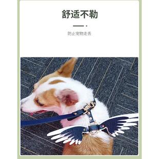 厂家供应天使项圈可爱小天使翅膀中小型宠物狗牵引绳遛狗绳批发
