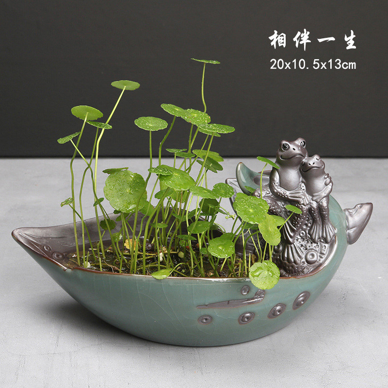 创意睡莲哥窑中国风盆景水养碗莲铜钱草水培花盆个性创意陶瓷无孔