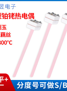 小铂测热电偶刚玉管wrp-100s型b型r型检定炉马弗炉铑硫仪热电偶