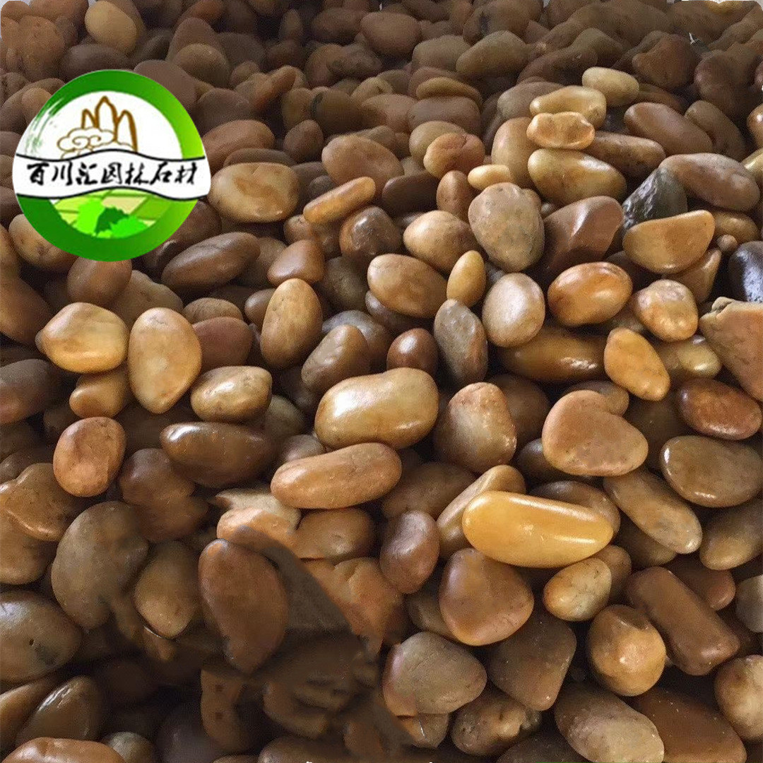 黄色雨花石鹅卵石园林景观石材石头按摩子铺装造景石子黄色卵石路