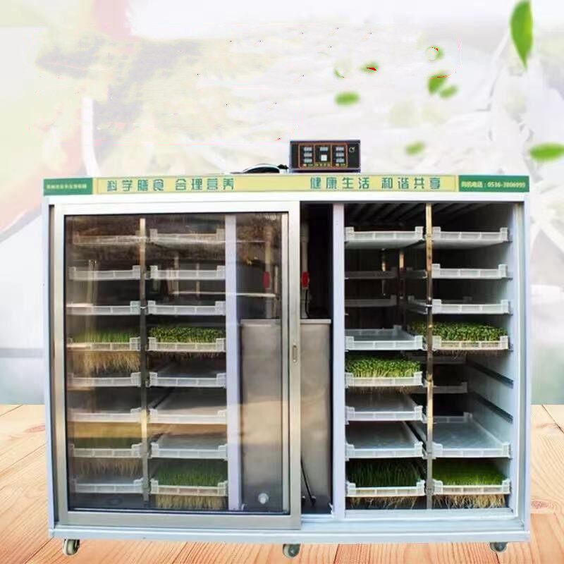 甘肃生豆芽机商用芽苗菜机大型全自动发豆芽菜机多功能催芽机器可