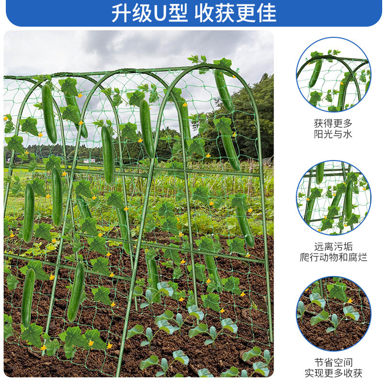 户外花园拱形架瓜架黄爬藤架暖房架防虫网架瓜果架