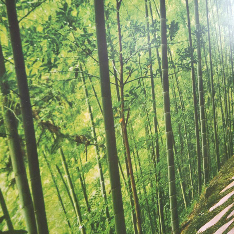 热销厂家热销拼晶墙暖取暖墙暖电暖画碳晶墙暖单块多块碳墙暖