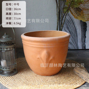 桔子盆橘色缸盆美式风格花盆园艺陶盆罗马粗陶栽树盆铁树花盆红陶