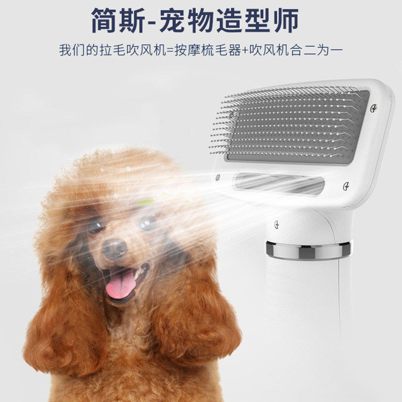 宠物吹风梳毛一体机狗狗美毛猫咪洗澡吹风机造型洗浴速干吹风机