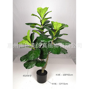 工厂直销仿真琴叶榕圆叶橡胶树琴葫橡皮树餐厅装饰假树叶芦叶来图