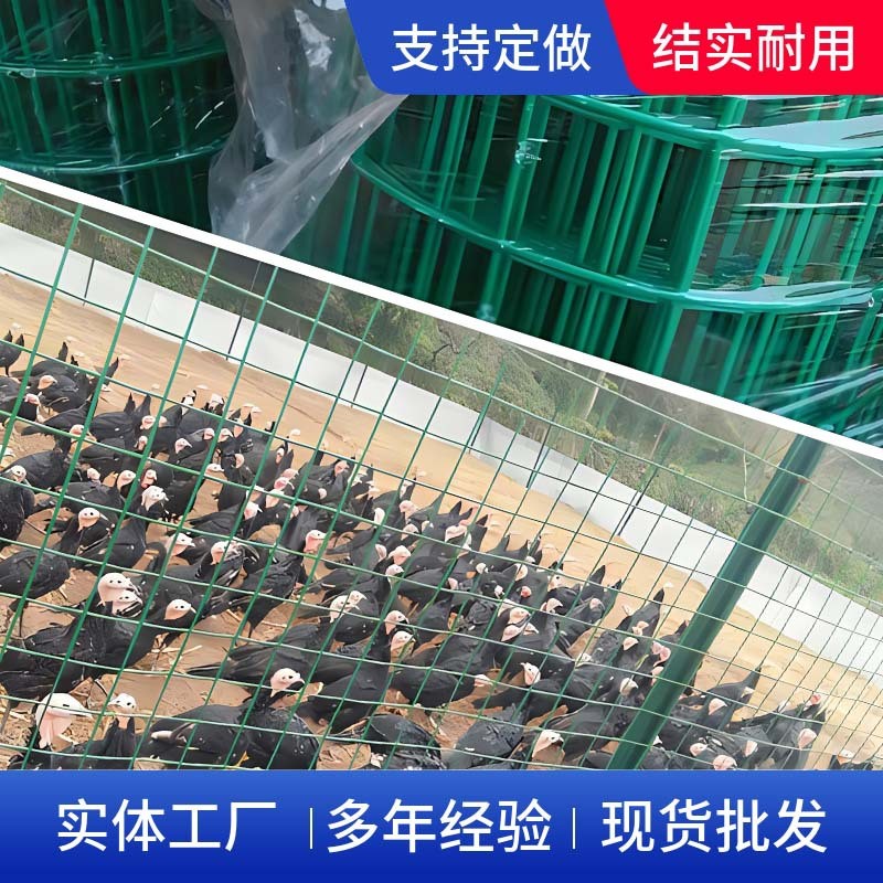 厂家直销土鸡养殖网防腐耐用农场果园圈地铁丝荷兰网网围栏批发