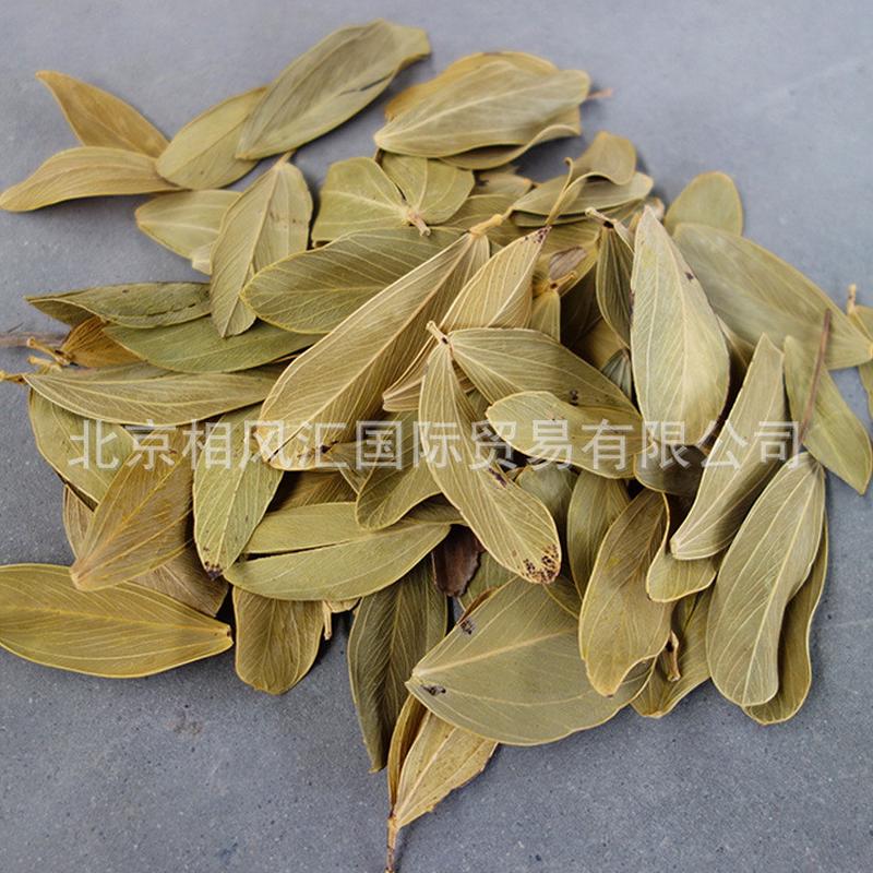 【卡博叶】进装饰叶干草干花干枝天然植物口干搭配家居摆设拍照