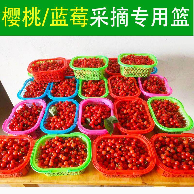 8e7q批发草莓樱桃篮子桑葚蓝莓采摘篮手提水果篮采摘塑料包装批发