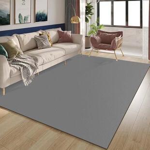 一抹裁剪素色皮革客厅地毯可净可擦免洗易打理防滑耐磨pvc地垫