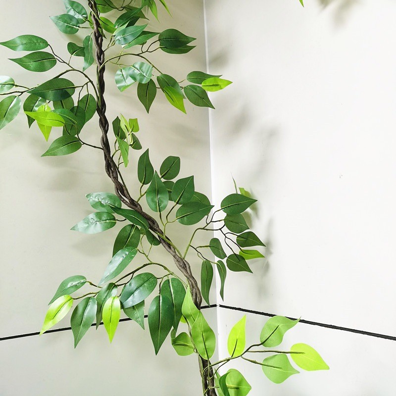 墙面绿植管道藤蔓装饰花藤阻燃榕树缠绕造景吊顶叶绿植垂吊薇妍
