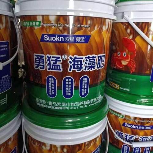 厂家直供微量油海藻微生物菌肥肥桶肥菌肥促进花芽转化