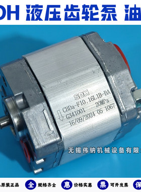 SDH液压齿轮泵CBDa-F10.16 10.25 10.38 50 75L1B-BA微型高压油泵