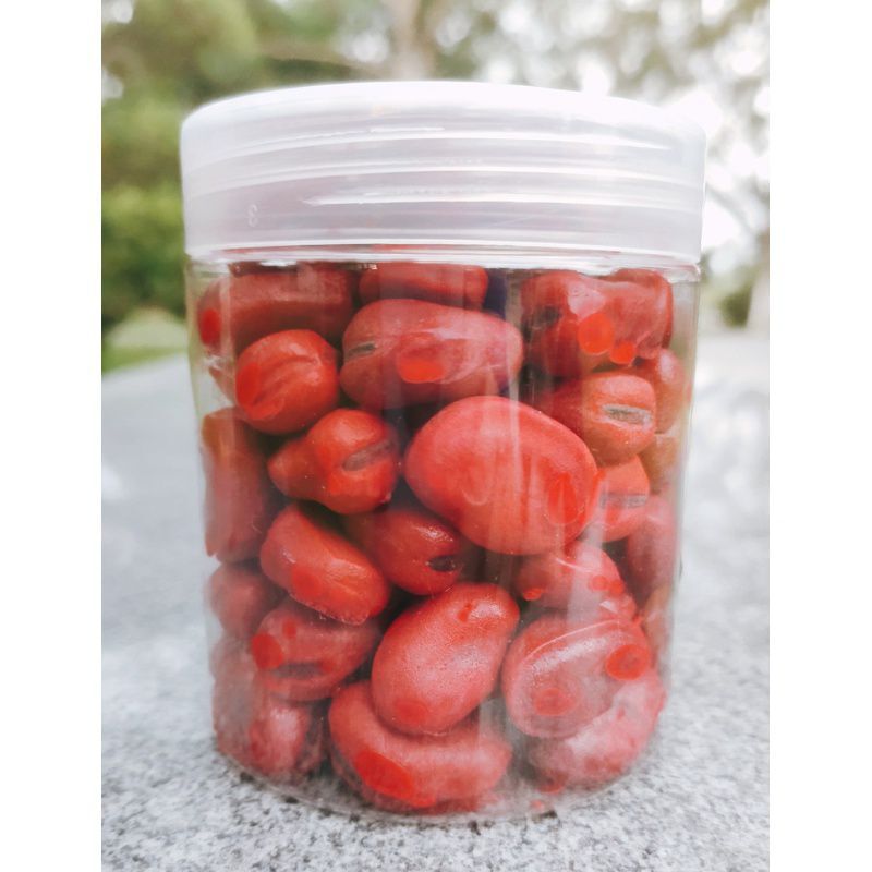 钓鱼蚕豆专用大蚕豆物青鱼草鱼鲤鱼黑鲩饵料黑坑野塘通鱼饵