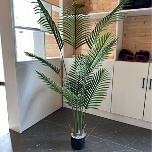 客厅落地散尾葵大盆栽装 饰仿真绿植室内大型摆件假盆栽绿植轻奢