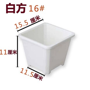 景天盆黑方白方多肉盆厂家批发多肉电商基地花盆育苗盆基地用