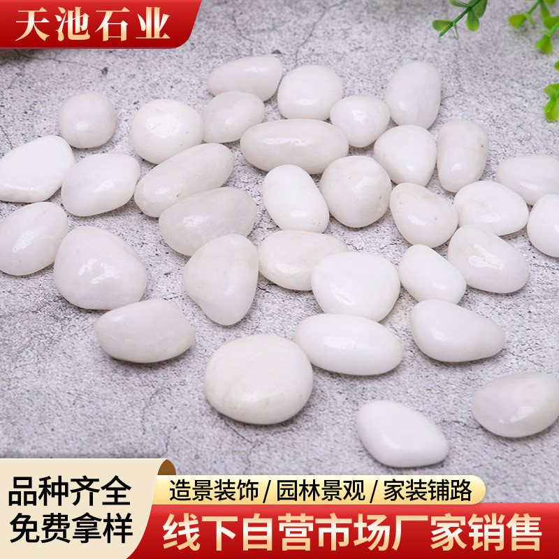 白色鹅卵石造景园艺装饰鹅卵石白鹅卵石批发抛光抛普白色鹅卵石