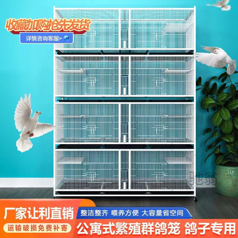 麓f鸽子笼大型养殖笼加密三层信鸽元宝笼带食槽防老鼠家用种鸽配