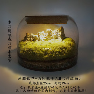 2u8k青苔苔藓植物景观闷养瓶微景观微观生态瓶微缩造景盆景盆栽成