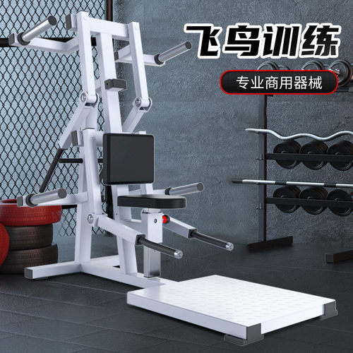 热销侧平举训练器双臂臂部展机商用健身房专用器材肩部外综合力量