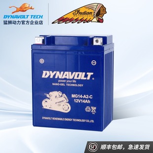 猛狮摩托车电瓶12V14A蓄电池嘉陵JH600印第安侦察兵轻骑CB750/250