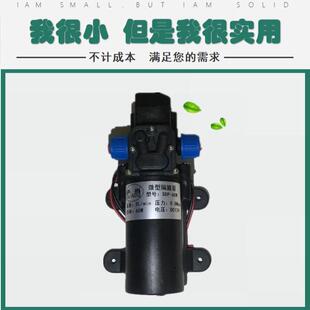 萨当智能型隔膜泵 电动高压洗车水泵 12v60w直流 自吸 微型80w24v