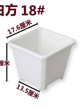 景天盆黑方白方多肉批发基地花盆加厚电商黑色白色方盆育苗盆