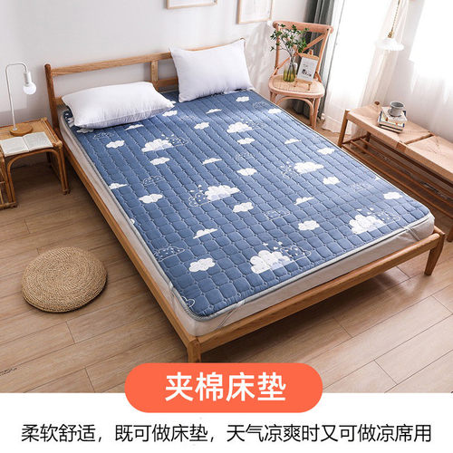 i9at床垫两用床垫1.5米学生宿舍垫褥1.8榻榻米软垫子凉席冬夏夏季