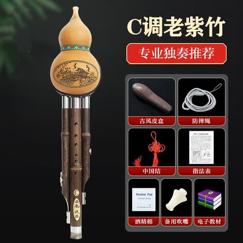紫竹葫芦丝c调小学生用专业演奏型儿童降b芦初学者防摔胡调丝乐器