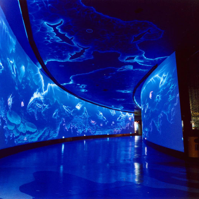 海底世界超大型海洋隧道大型亚克力高端玻璃鱼缸设计圆柱鱼缸
