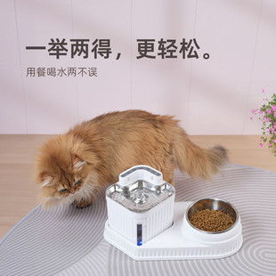 不锈钢猫狗智能饮水机宠物自动喂食器猫咪小猫狗狗一体机