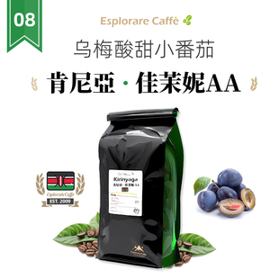 发现咖啡精选肯尼亚AA精品进口新鲜烘焙咖啡豆可现磨黑咖啡粉454g