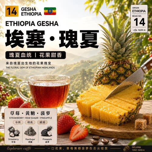咖啡豆原生瑰夏咖啡豆